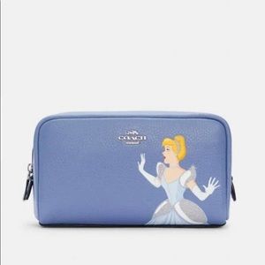 Cinderella coach pouch